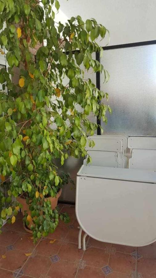 דירות סביליה Luxe Castelar 19 מראה חיצוני תמונה